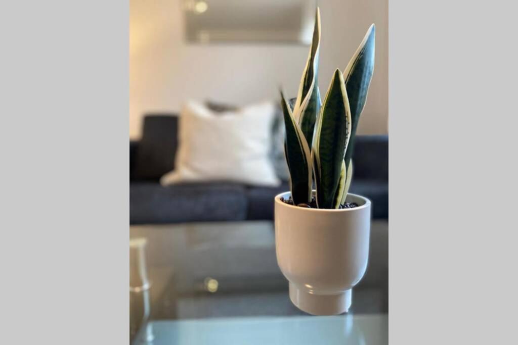 Alicia Newport By Mia Living 2 Bedroom Apartment With Dedicated Parking Dış mekan fotoğraf